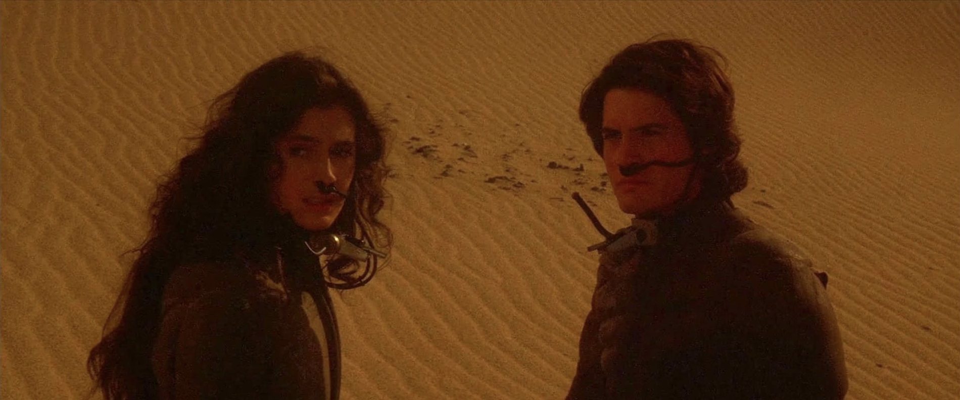 Sean Young as Chani on Arrakis in Dune, 1984
